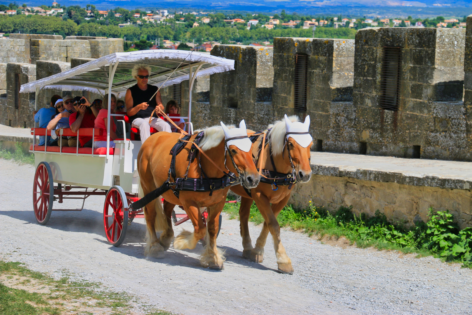 Carcassonne 21