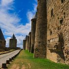 Carcassonne 23