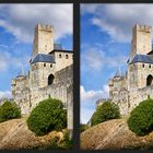 Carcassonne [3D]