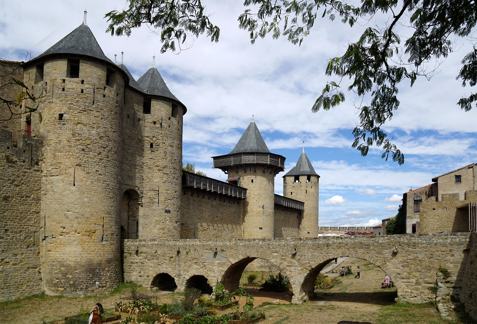 Carcassonne (4)