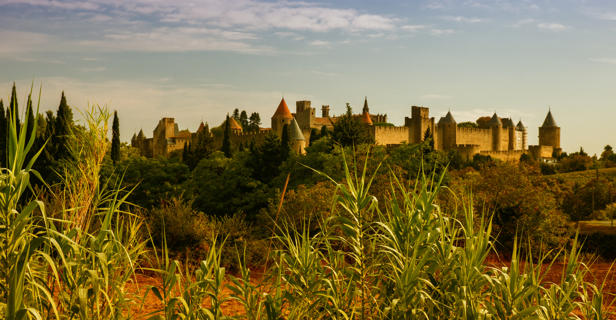 Carcassonne 