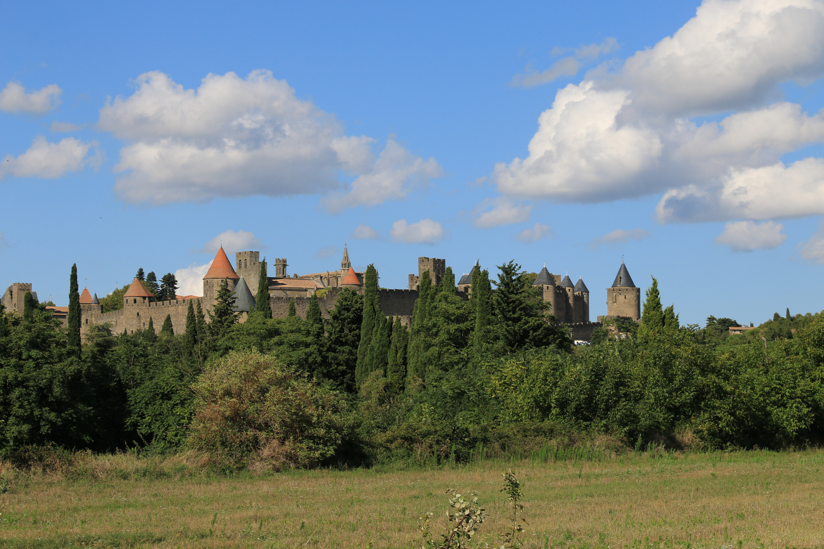 Carcassonne 6