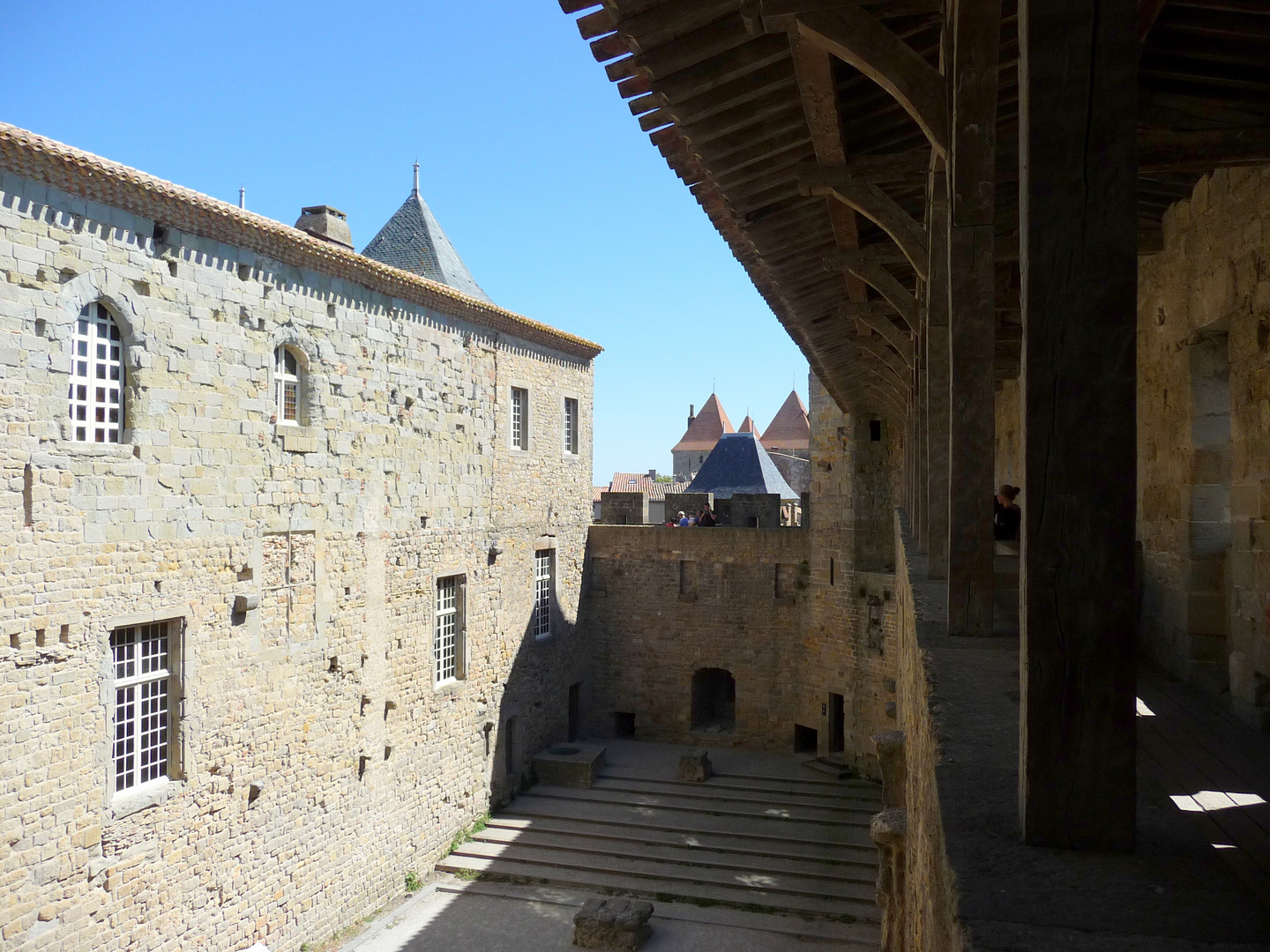 CARCASSONNE 9