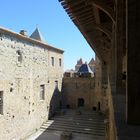 CARCASSONNE 9