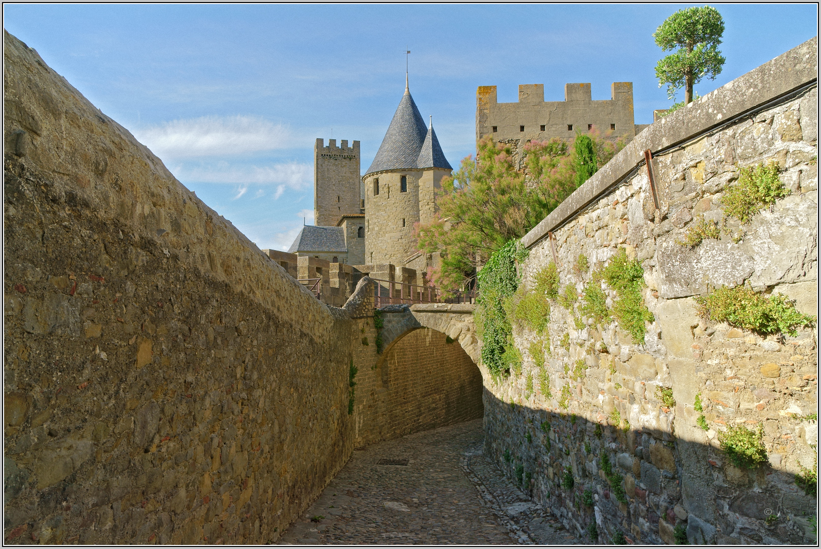 Carcassonne