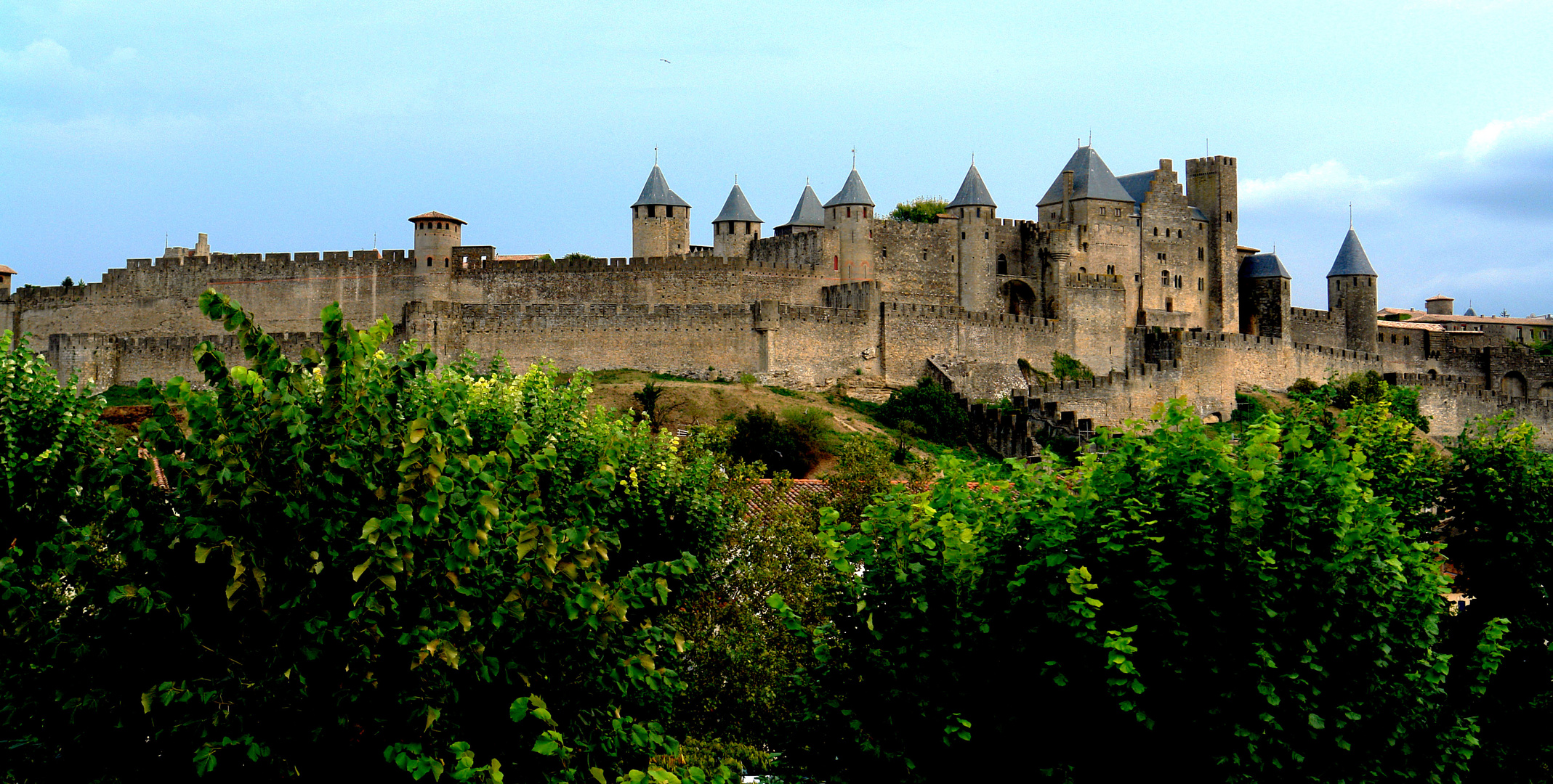 carcassonne - afternoon view