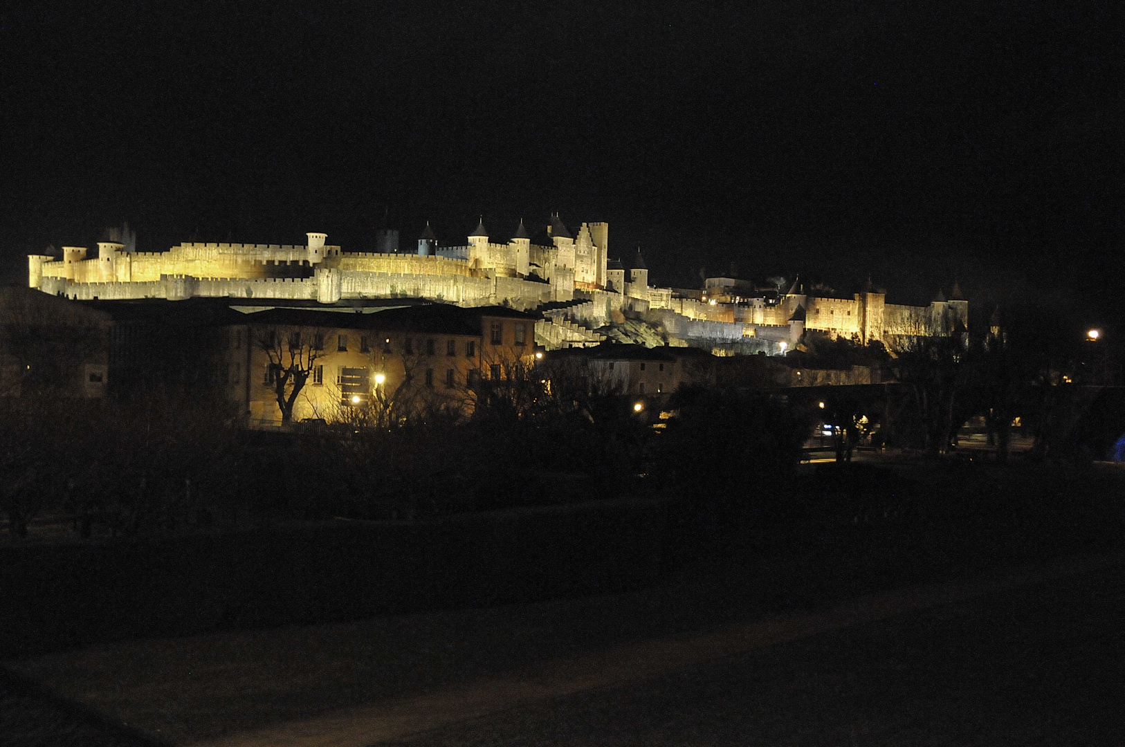 Carcassonne Janvier 2011 (1)