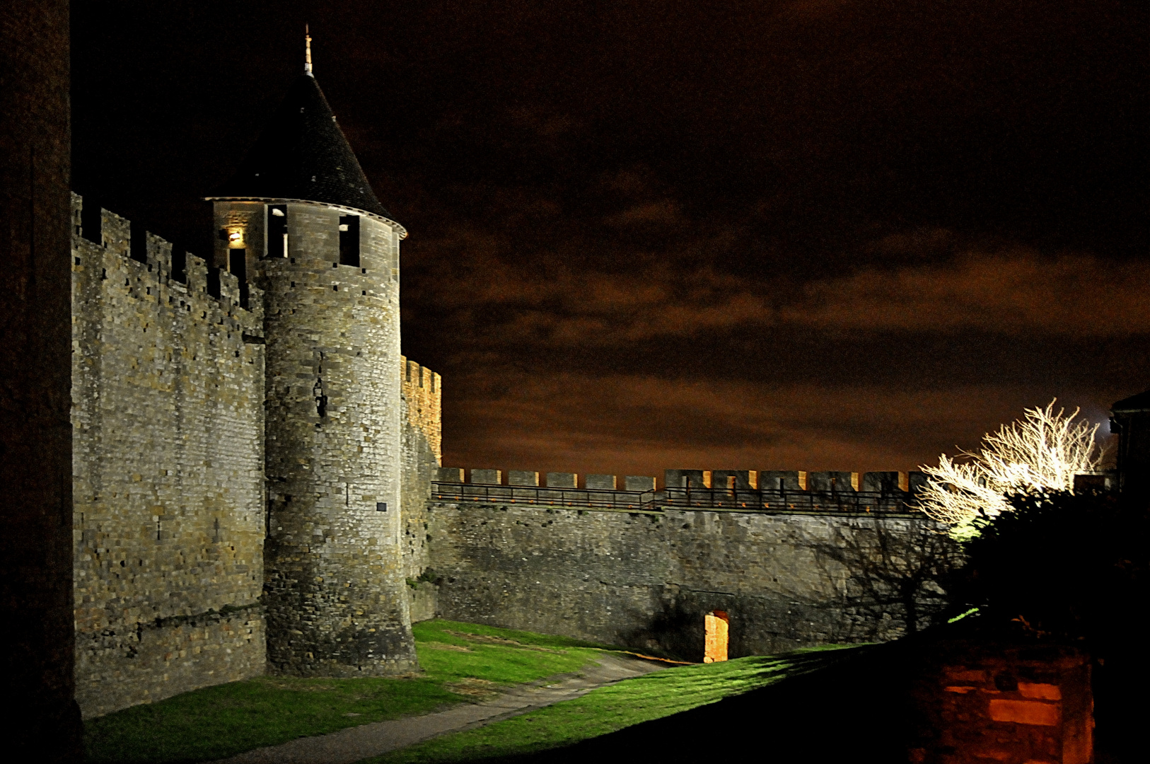 Carcassonne Janvier 2011 (2)