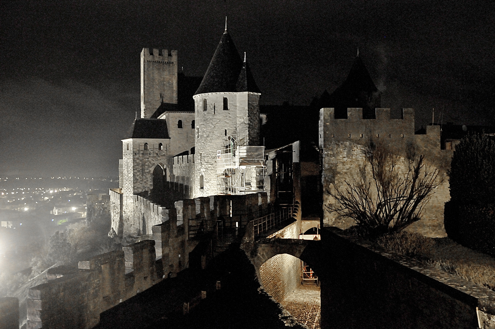 Carcassonne Janvier 2011 (4)