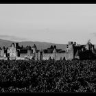 Carcassonne s/w II