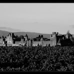 Carcassonne s/w II