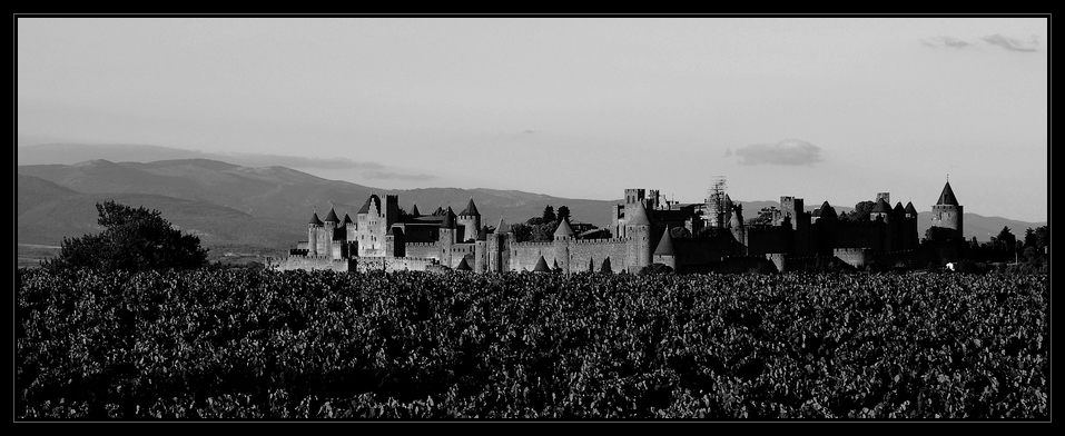 Carcassonne s/w II