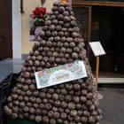 Carciofi al quartiere ebraico di Roma