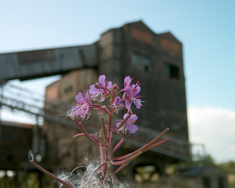 carcoke tertre belgië