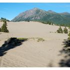 Carcross Desert