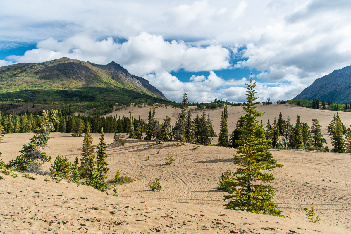 Carcross Desert