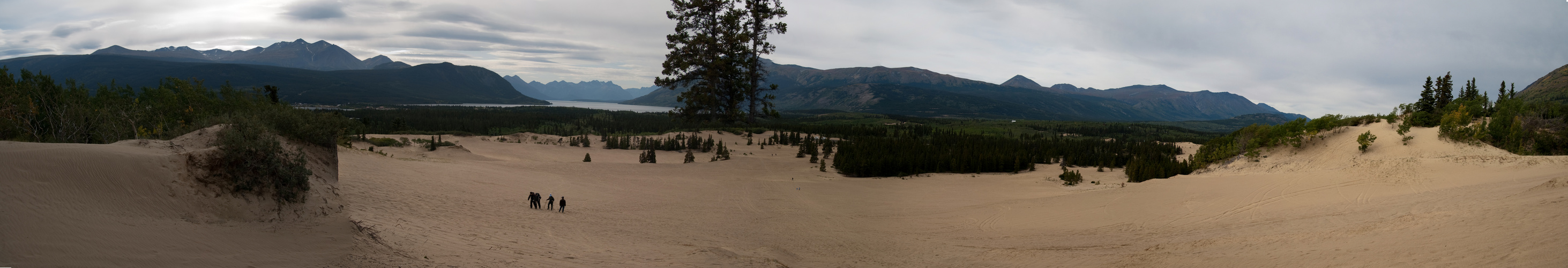 Carcross Dessert