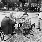 Card game in the park