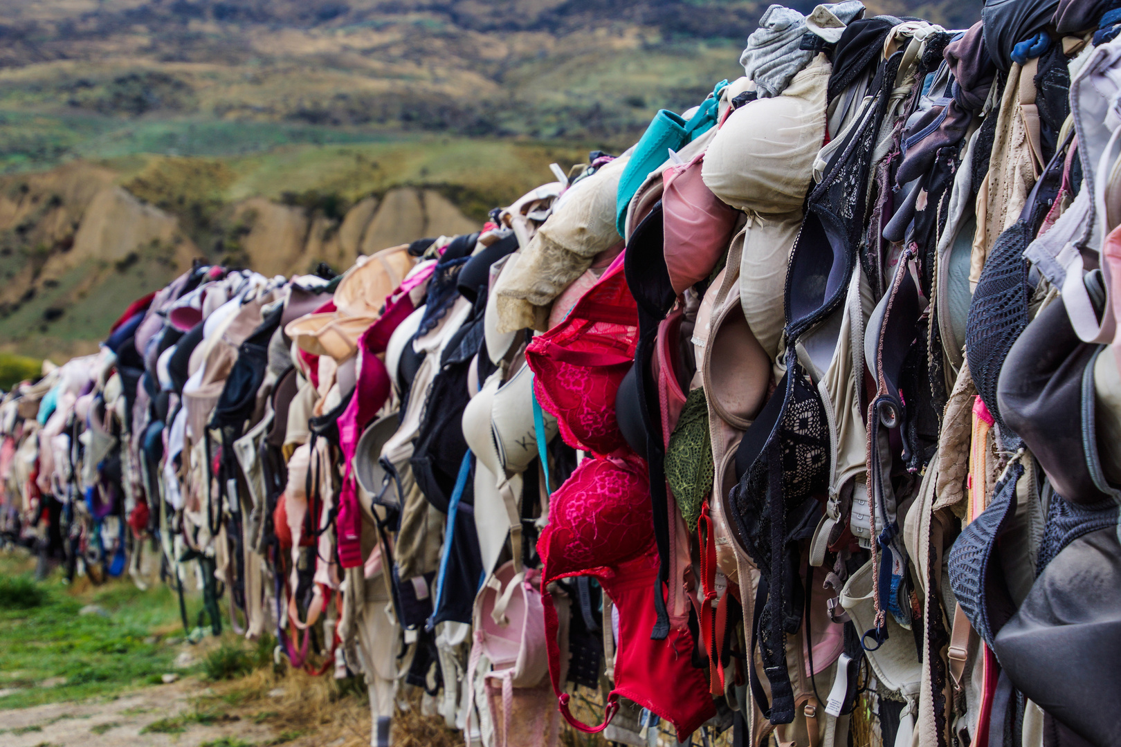 Cardrona Bra Fence / NZ 