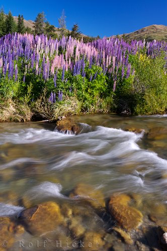 Cardrona River