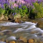 Cardrona River