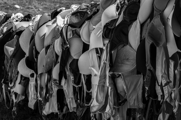 Cardrona Valley Bra Fence