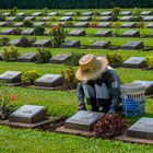 Care of the graves of the cemetery