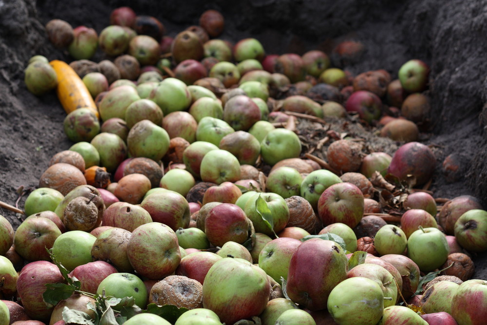 carencia de vitaminas