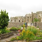 Carew Castle Kräutergarten