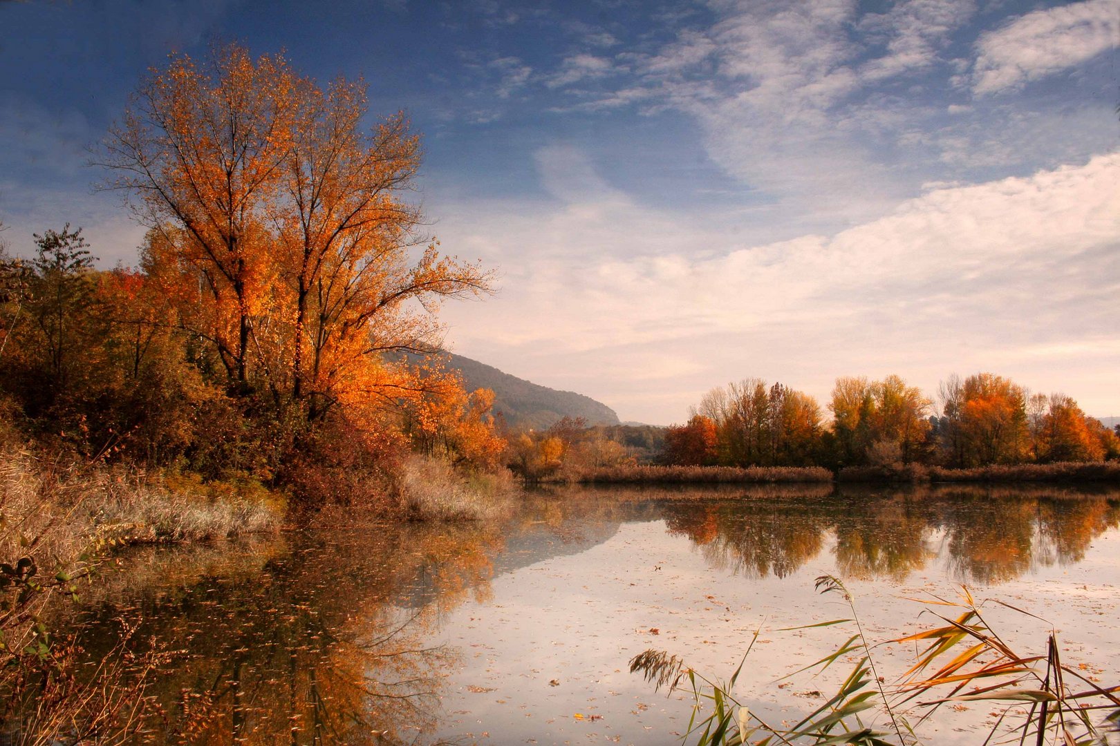 Carezza d'autunno