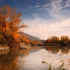 Carezza d'autunno