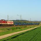 Cargo Logistik Rail-Service GmbH mit Leerholzzug