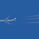 CARGOLUX / ITALIA - LX-YCV