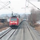 Cargozug fährt den Bodensee entlang