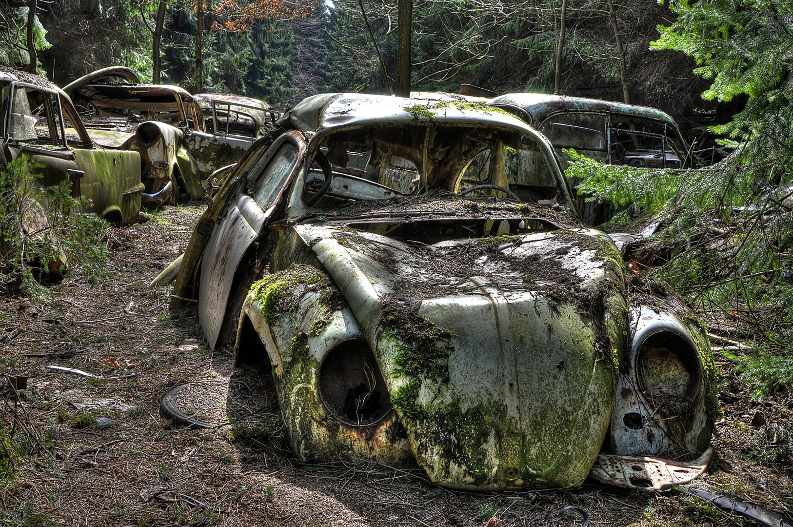 Cargraveyard Belgium 2