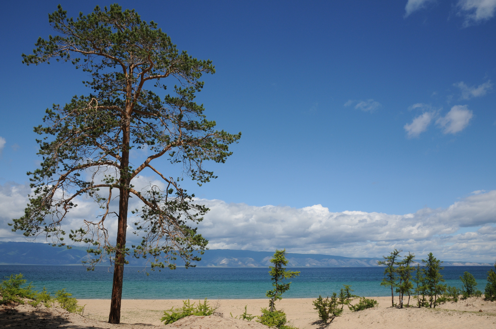 caribbean baikal