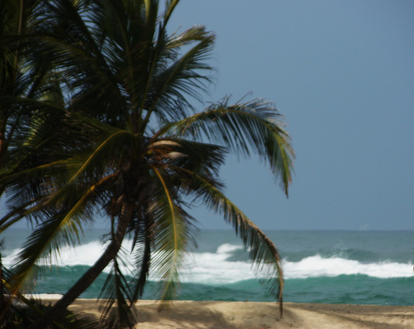 Caribbean Beach in Colombia