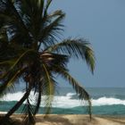 Caribbean Beach in Colombia