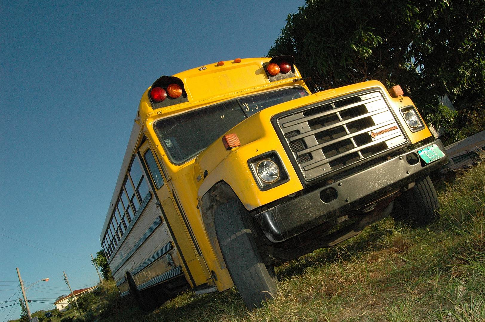 caribbean bus