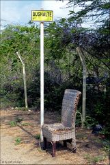 Caribbean Bus Stop