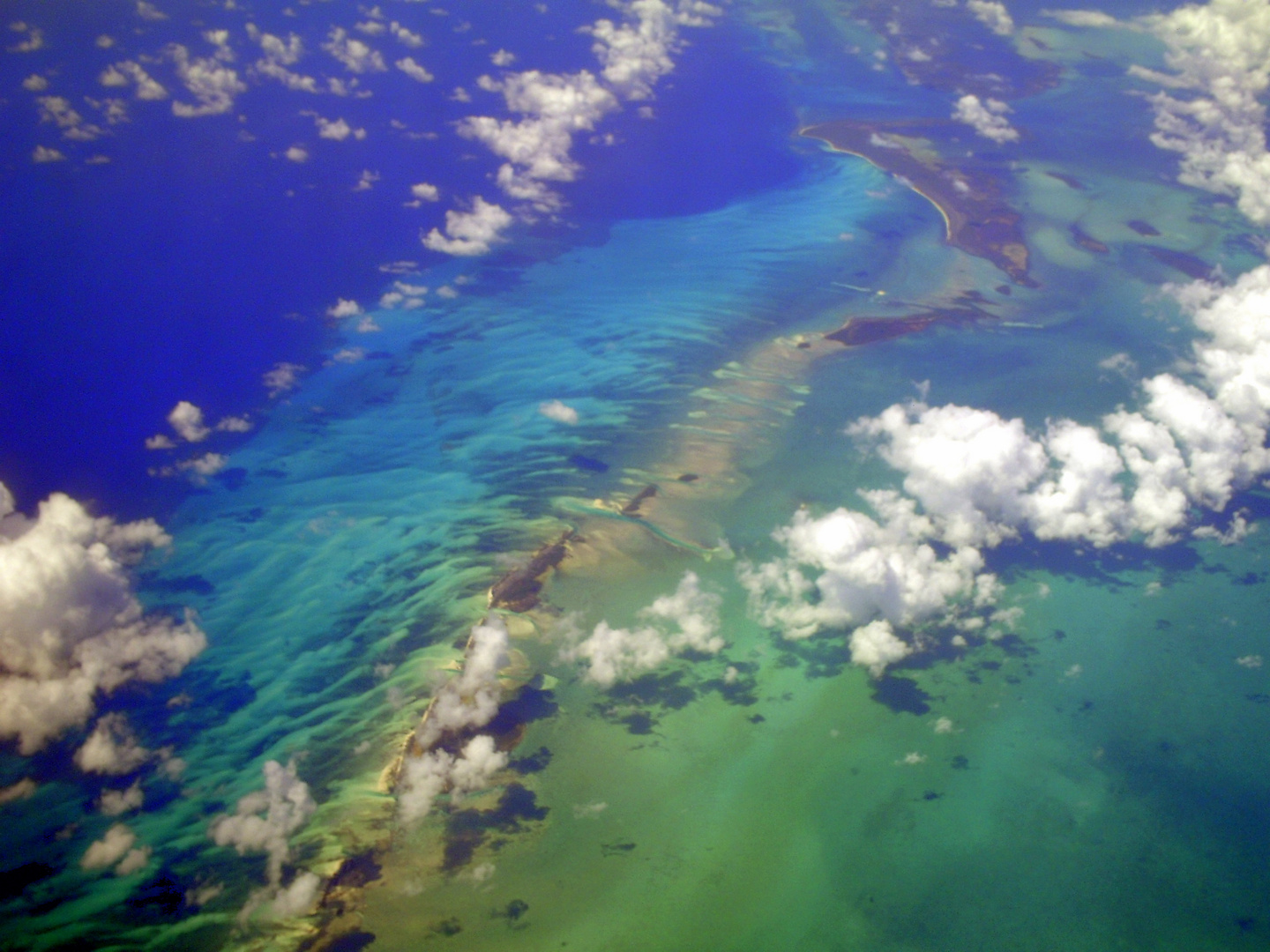 Caribbean Colours