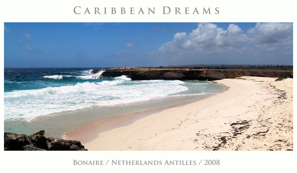 Caribbean Dreams #7