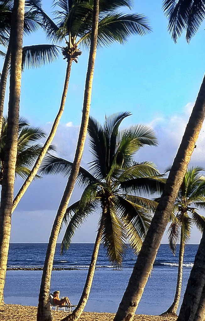 Caribbean Leisure