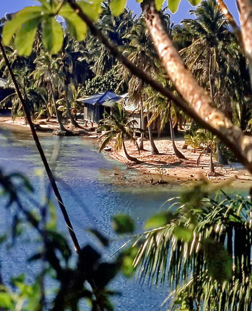 Caribbean Roatán Island