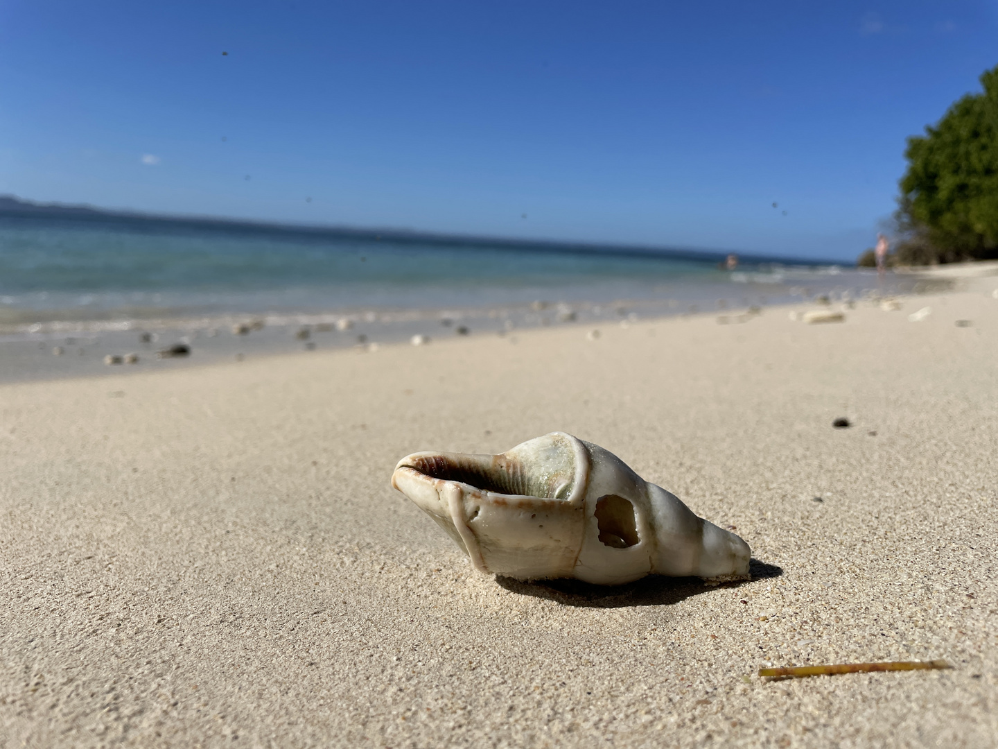 Caribbean  sand beach