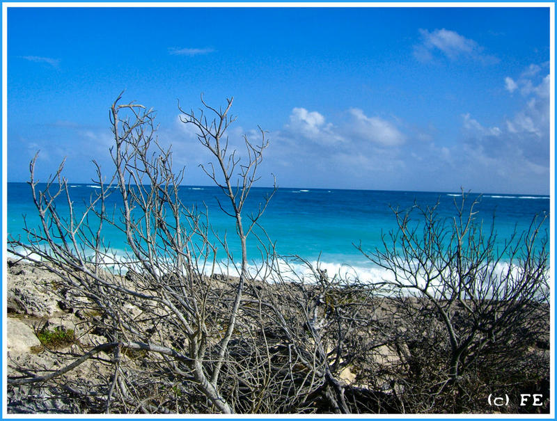 Caribbean Sea in Tulum