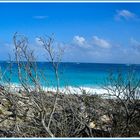 Caribbean Sea in Tulum