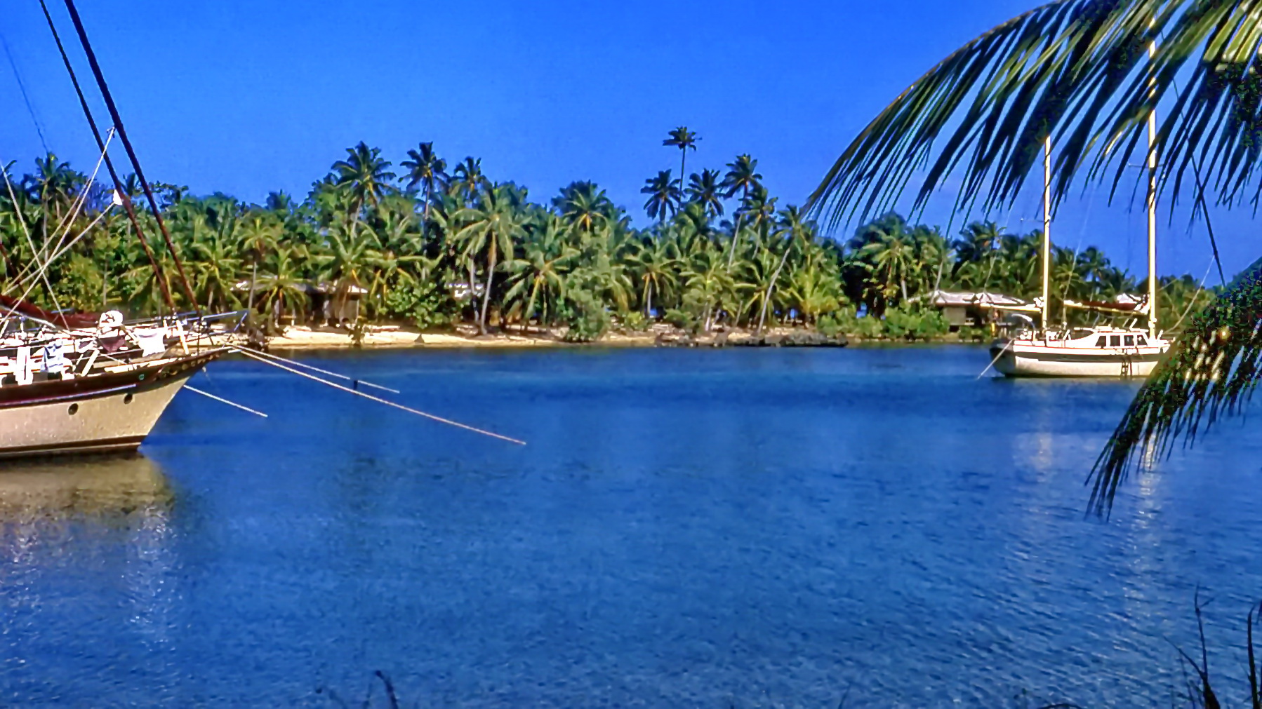 Caribbean Sea: Roatán Island