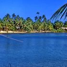 Caribbean Sea: Roatán Island