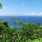 Caribbean Sea (St. Thomas)